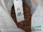 美國(guó)紅楓種子特價(jià)供應(yīng)品質(zhì)保證