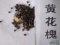 黄花槐种子，黄花槐，别名：山扁豆、金凤树、金药树、树槐、豆槐