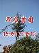 雪松價(jià)格2013年4月雪松價(jià)格 雪松報(bào)價(jià)表
