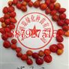 海紅豆種子 紅豆種子 九江種苗