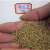 批發(fā)：紫花苜蓿種子，紫花苜蓿種子價格，紫花苜蓿種子批發(fā)價格