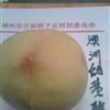 紹興澳洲甜黃桃行情報價\紹興澳洲甜黃桃圖片展示
