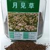出售月見(jiàn)草種子，貨到付款，全國(guó)包郵
