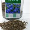出售勿忘草種子，全國(guó)包郵，貨到付款