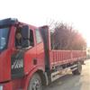 江蘇垂絲海棠裝車
