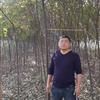 櫸樹紅櫸2-15公分價格。質(zhì)量很好?？梢运拓浬祥T