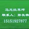 常州草坪、馬尼拉草坪、高羊茅草坪、混播草大量供應(yīng)