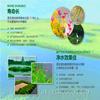 廠(chǎng)家供應人工浮島 漂浮濕地水生植物種植 浮床 水上浮島工程 安裝