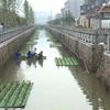 浮島直銷_浮床生態(tài)工藝法_河道景觀綠化設(shè)計