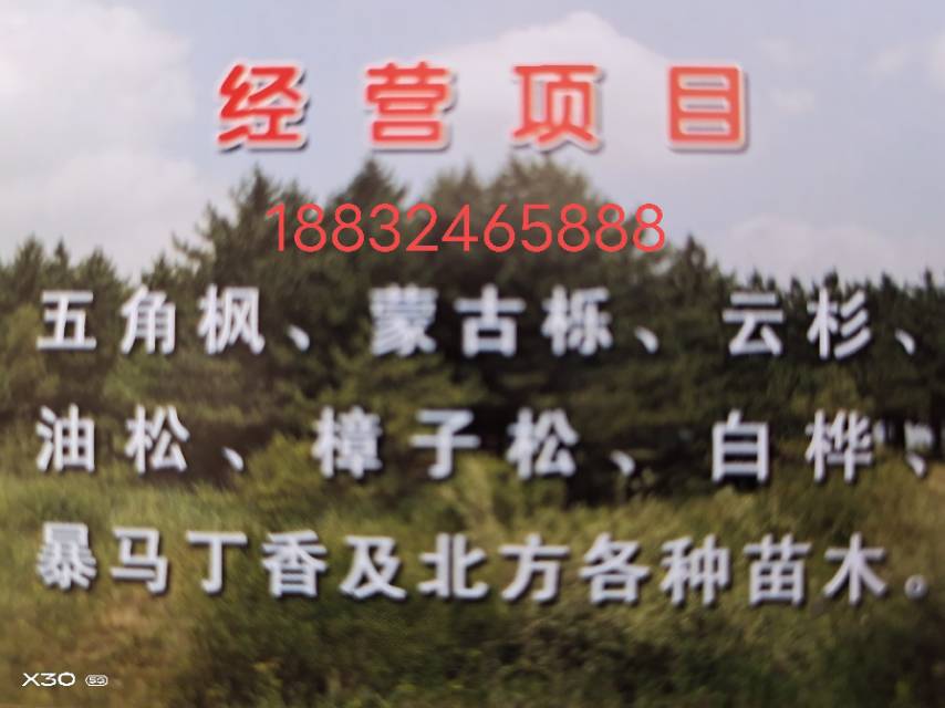 围场满族蒙古族自治县弘盛园林绿化工程有限公司