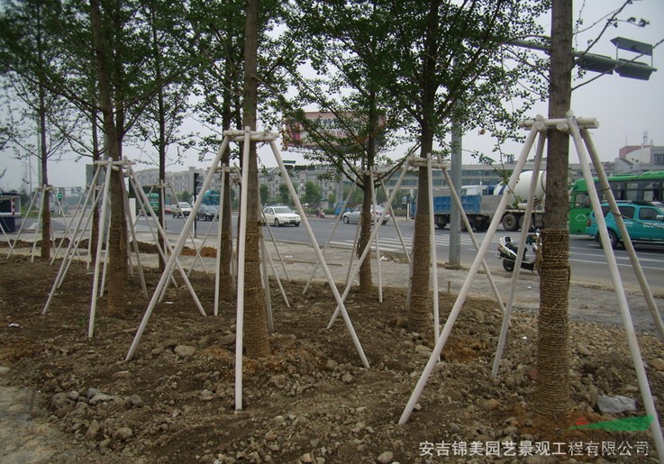安吉锦美园艺景观工程有限公司