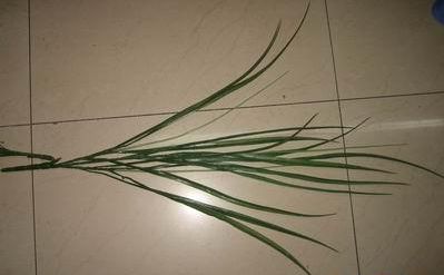 求購仿真稻草