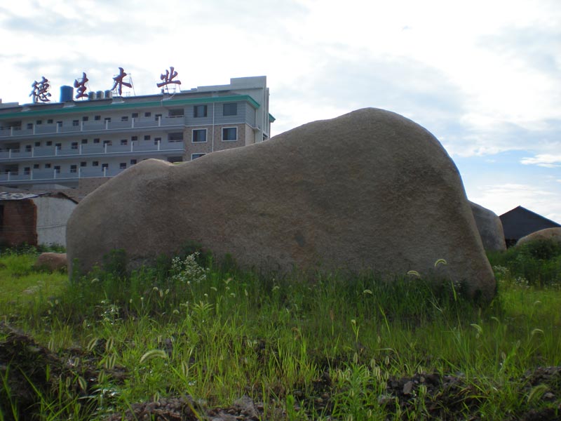大量刻字石