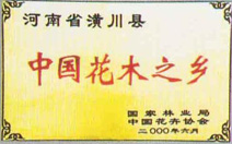 棕櫚價(jià)格，棕樹(shù)價(jià)格，潢川棕櫚價(jià)格，河南棕櫚種植基地，棕櫚保價(jià)