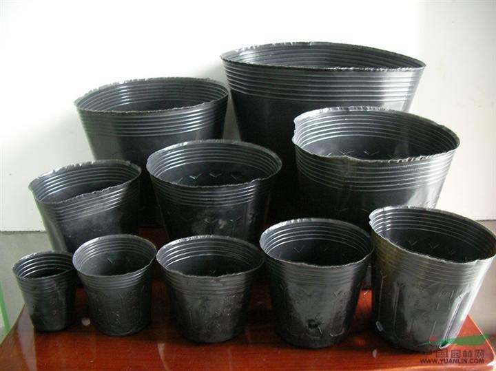 營養(yǎng)缽