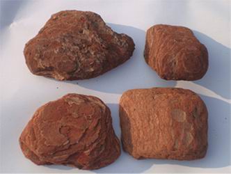 打磨松樹皮 基質(zhì)
