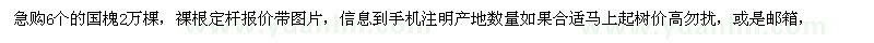 求購(gòu)6個(gè)的國(guó)槐2萬(wàn)棵，裸根定桿