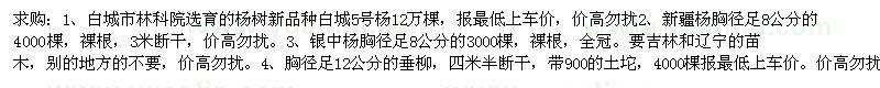求購(gòu)銀中楊、五角楓、新疆楊和白城5號(hào)楊 