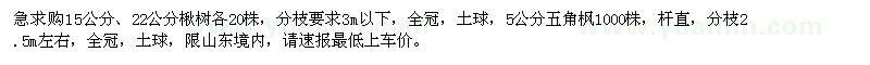 求購15公分、22公分楸樹，5公分五角楓