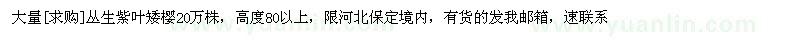 求購叢生紫葉矮櫻20萬株（河北省保定市）