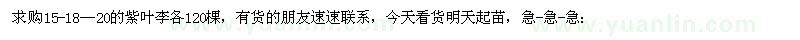 求購(gòu)15-18—20的紫葉李
