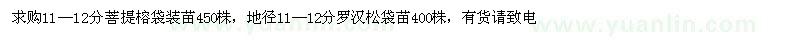求購(gòu)11—12分菩提榕　羅漢松袋苗