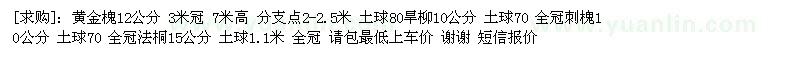 求購黃金槐 旱柳 刺槐 法桐