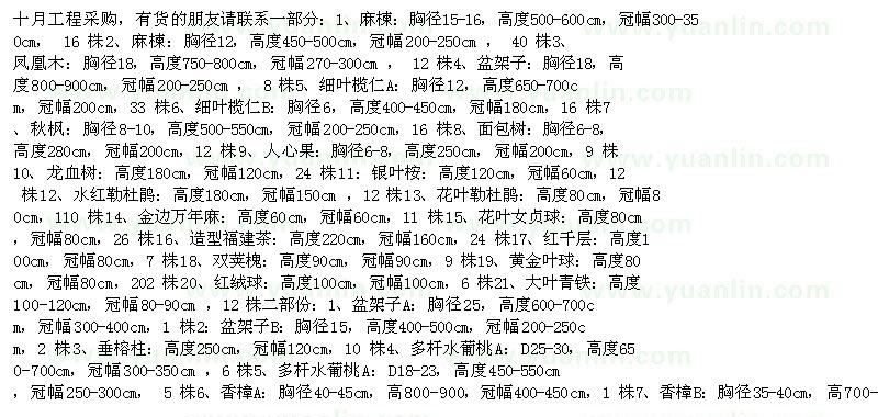 求購十月工程：鳳凰木 盆架子 細葉欖仁 秋楓 香樟 榕樹 杜英等