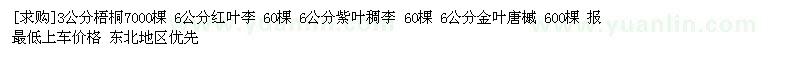 求購梧桐 紅葉李 紫葉稠李 金葉唐槭