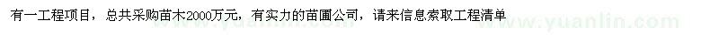 求購情有實力的苗圃報價：皂莢 欒樹 國槐 法桐 七葉樹 櫸樹 雪松 白
