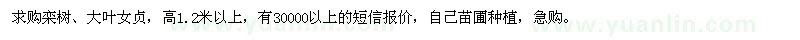 求購高1.2米以上的欒樹(shù),大葉女貞