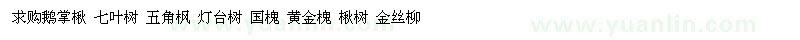 求購鵝掌楸 七葉樹 五角楓 燈臺樹 國槐 黃金槐 楸樹 金絲柳 