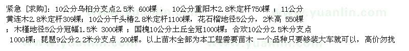 求購烏桕，重陽木，11公分黃連木