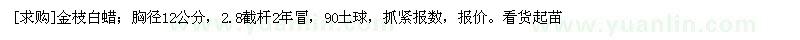 求購金枝白蠟；胸徑12公分，2.8截桿2年冒