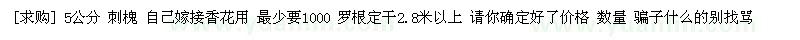 求購5公分 刺槐 自己嫁接香花用
