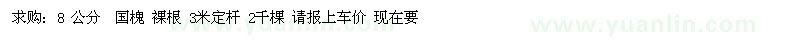 求購國槐裸根