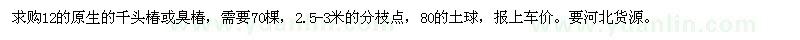 求購12的原生的千頭椿或臭椿