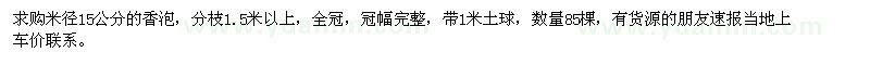 求購米徑15公分的香泡