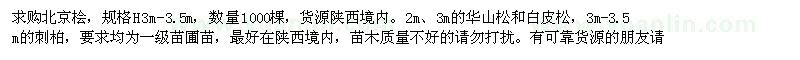 求購北京檜,華山松,白皮松,刺柏