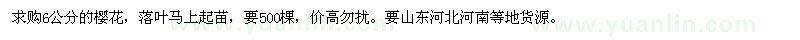 求購6公分的櫻花