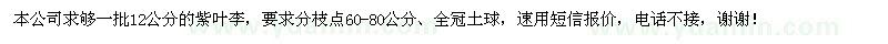求購12公分的紫葉李