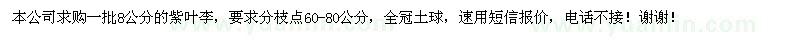 求購8公分的紫葉李