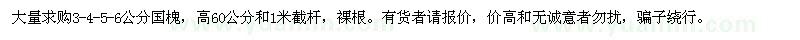 求購國槐