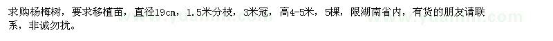 求購楊梅樹
