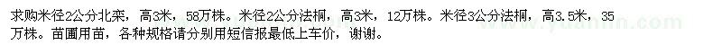 求購北欒、法桐