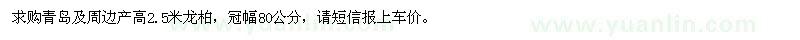 求購高2.5米龍柏