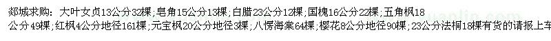 求購(gòu)大葉女貞13公分、皂角15公分、白臘23公分