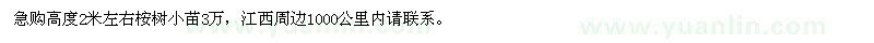 求購(gòu)高度2米左右桉樹(shù)小苗
