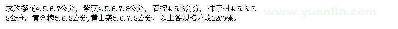 求購櫻花 紫薇 石榴 柿子樹 黃金槐 黃山欒 