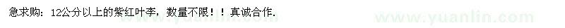 求購(gòu)12公分以上的紫紅葉李，數(shù)量不限?。?